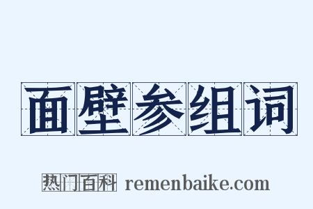 面壁参组词是什么意思的图片